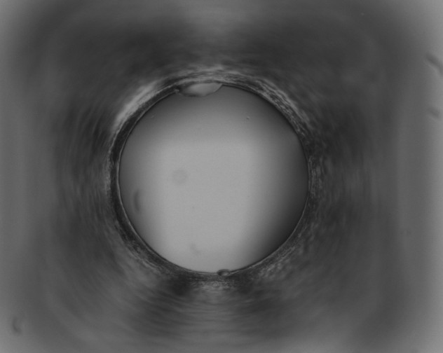 X0000091520344200709071022