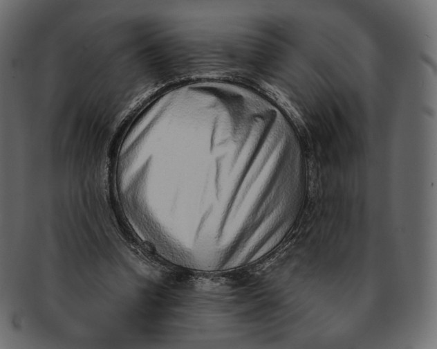 X0000091520346200709071022