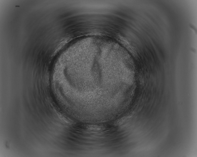 X0000091520347200709071022