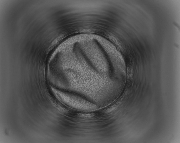 X0000091520349200709071022