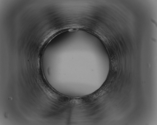 X0000091520350200709071022