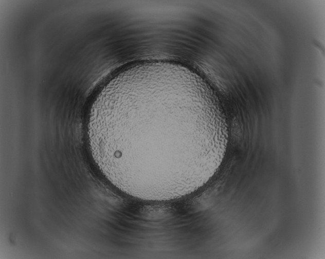 X0000091520351200709071022