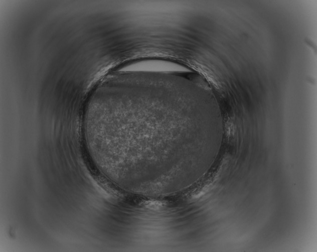 X0000091520352200709071022