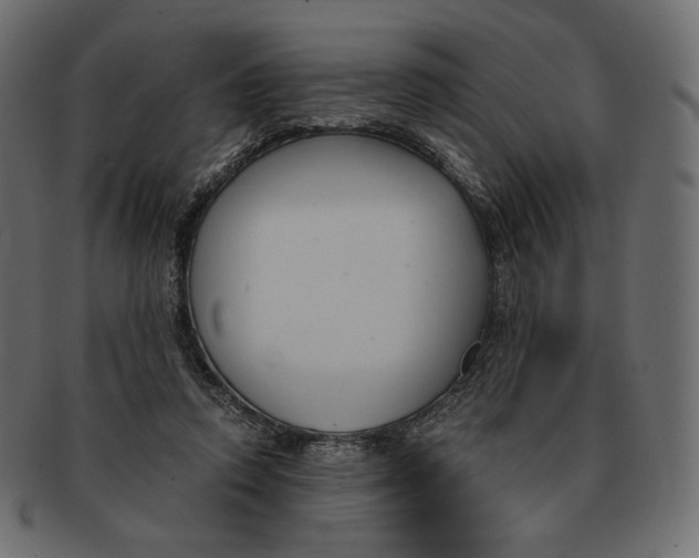 X0000091520354200709071022