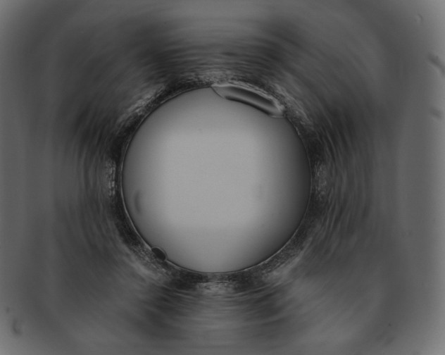 X0000091520356200709071022