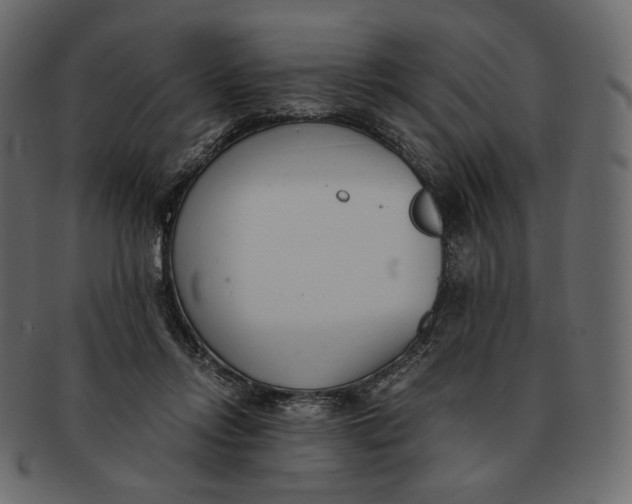 X0000091520358200709071022