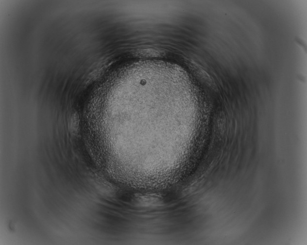 X0000091520359200709071022