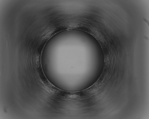 X0000091520360200709071022