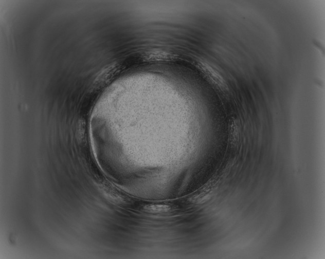 X0000091520361200709071022