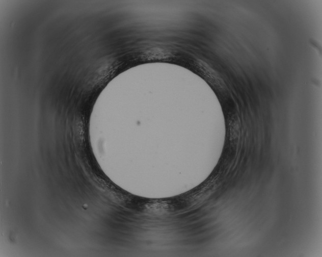 X0000091520362200709071022