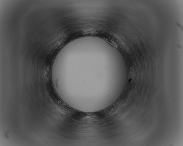 X0000091520364200709071022