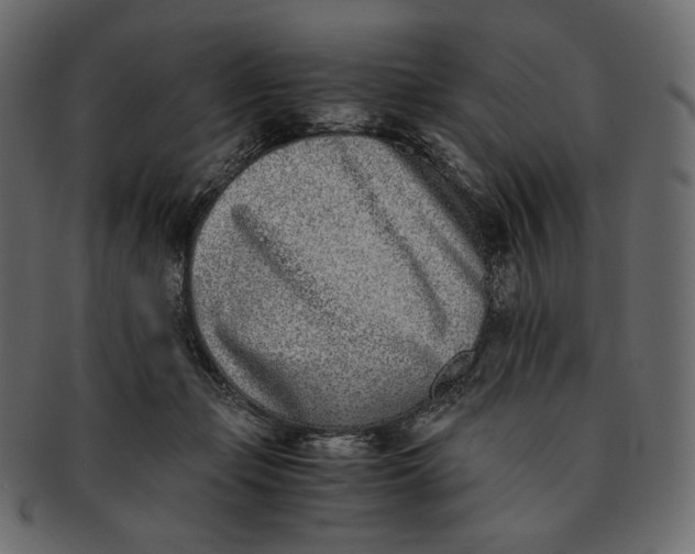 X0000091520365200709071022