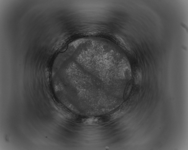 X0000091520366200709071022