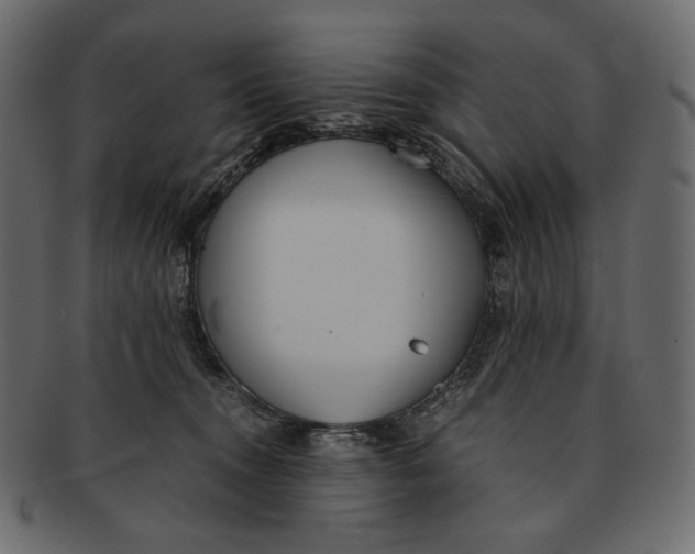 X0000091520372200709071022