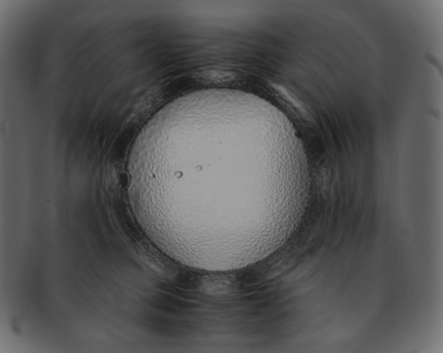 X0000091520373200709071022