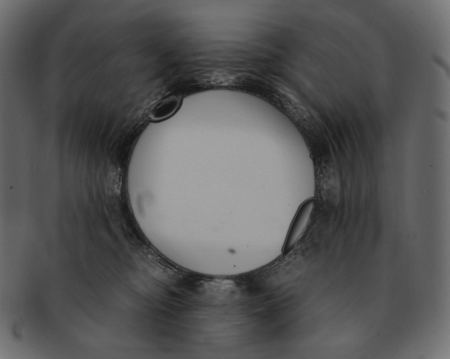 X0000091520374200709071022