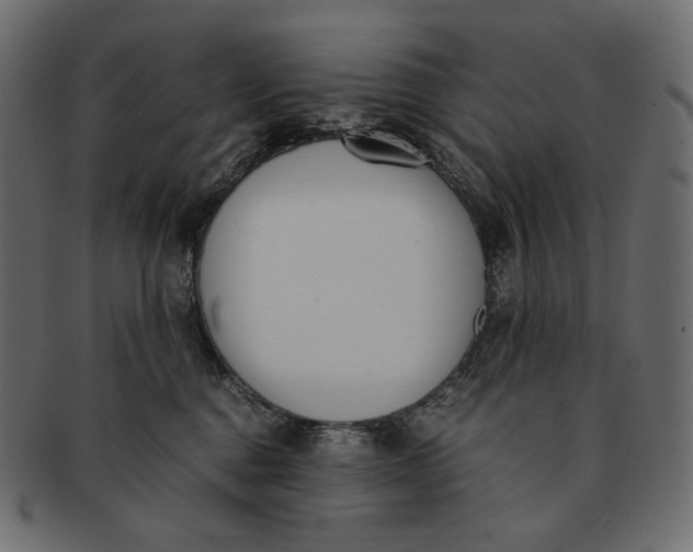 X0000091520376200709071022