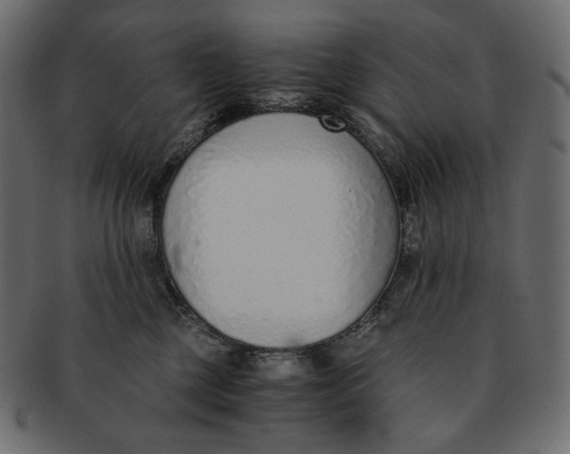 X0000091520377200709071022