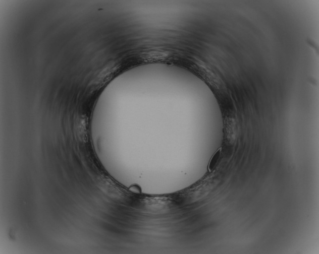 X0000091520378200709071022