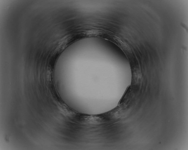 X0000091520379200709071022