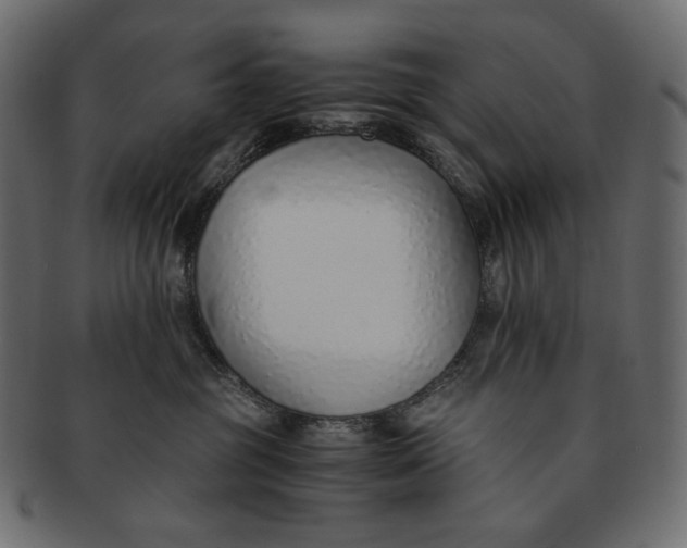 X0000091520381200709071023