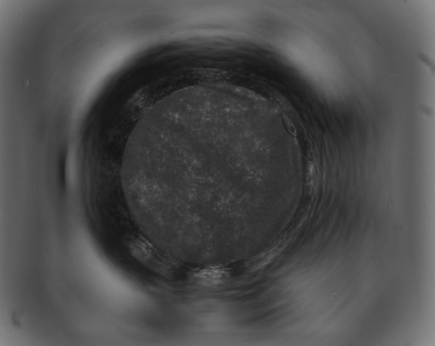 X0000091520383200709071023