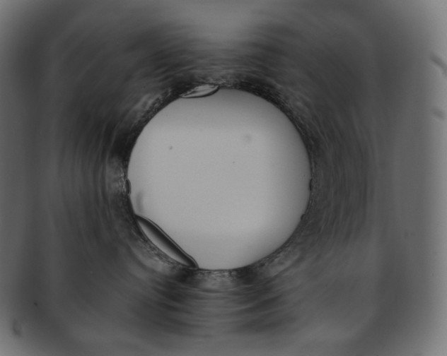 X0000091520384200709071023