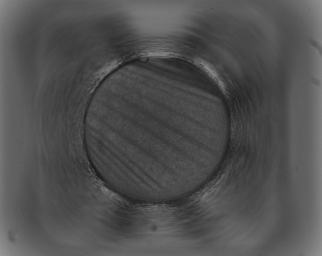 X0000091520385200709071022