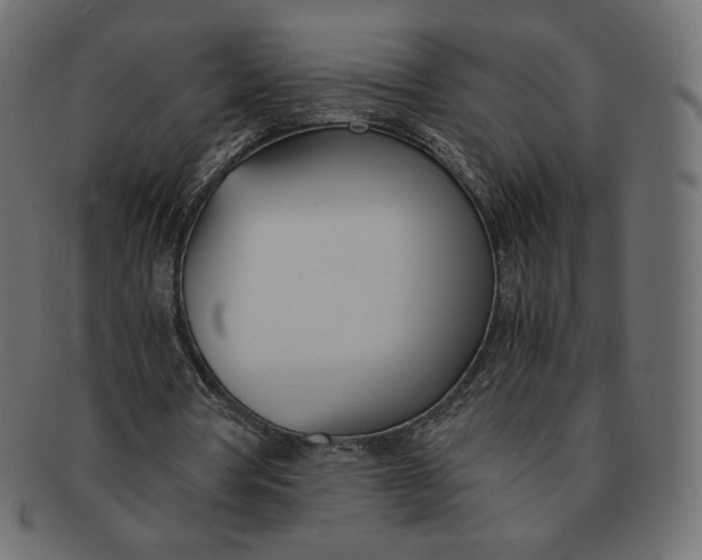 X0000091520386200709071022