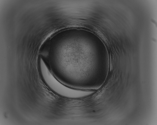 X0000091520387200709071022