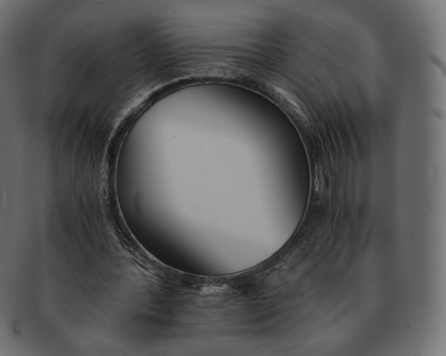 X0000091520388200709071022