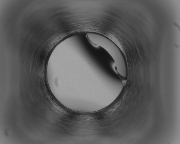 X0000091520389200709071022