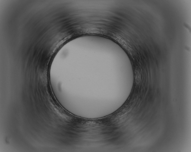 X0000091520390200709071022