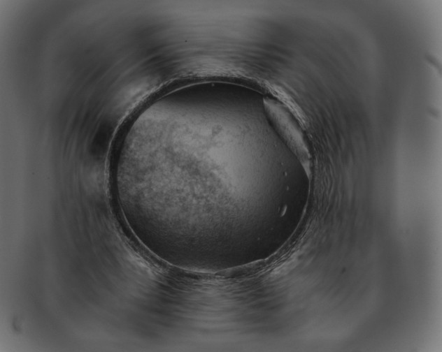 X0000091520391200709071022