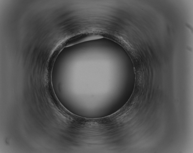 X0000091520392200709071022