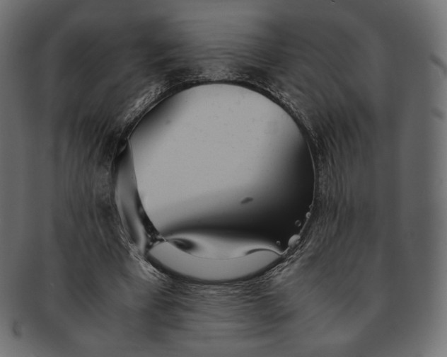 X0000091520393200709071022