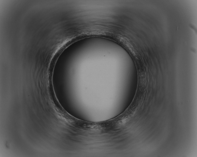 X0000091520395200709071022