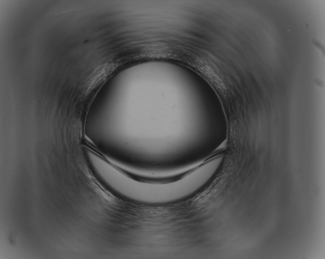 X0000091520397200709071022