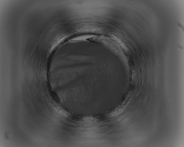 X0000091520399200709071022