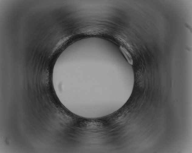 X0000091520400200709071022