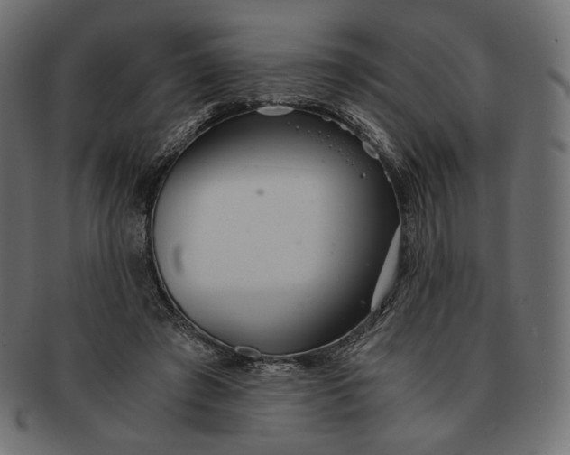 X0000091520401200709071022