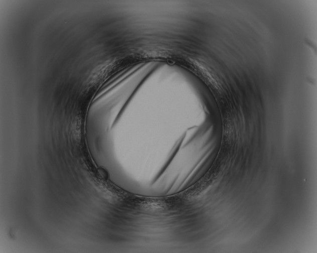 X0000091520402200709071021