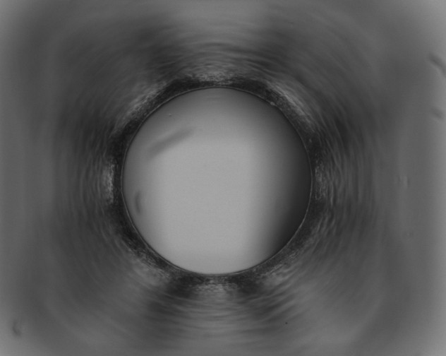 X0000091520404200709071021