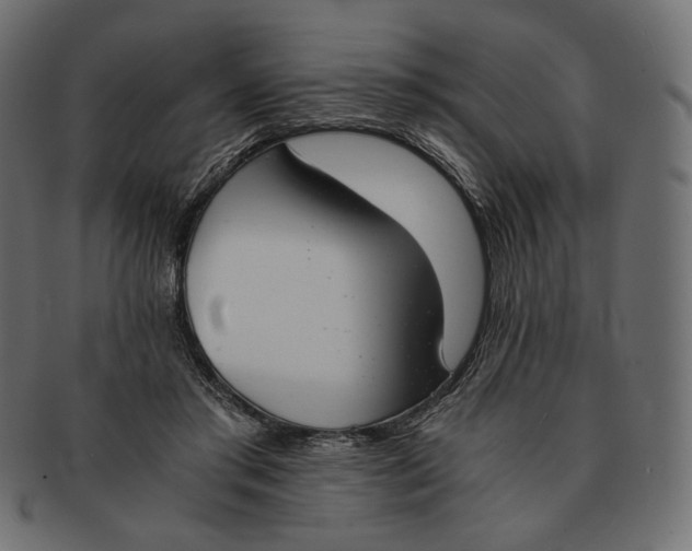 X0000091520405200709071021