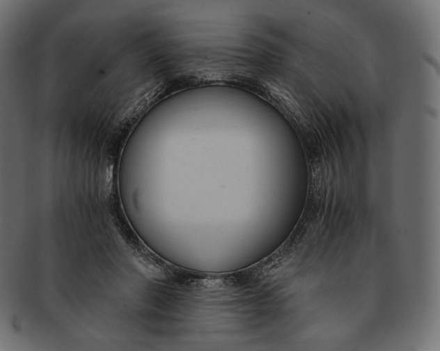 X0000091520406200709071021