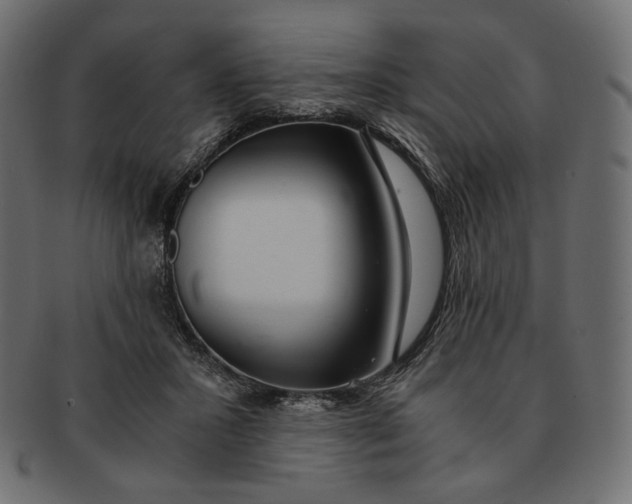 X0000091520407200709071021