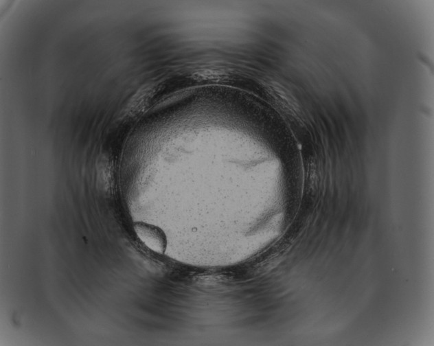 X0000091520408200709071021