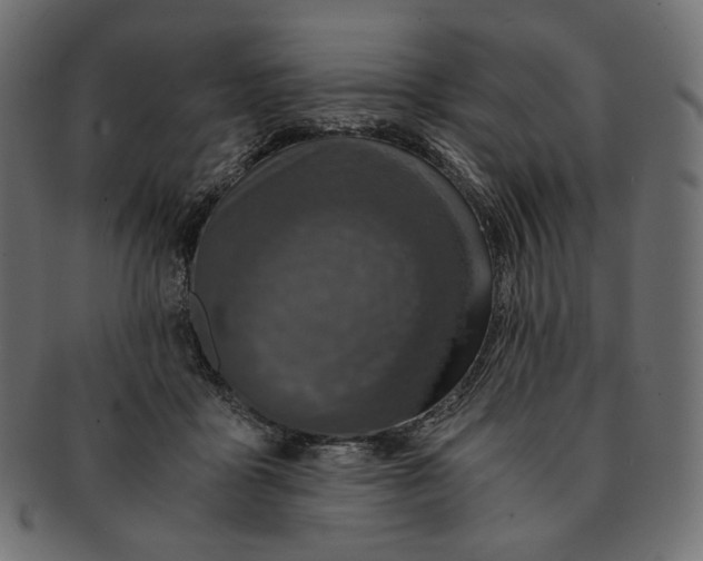 X0000091520411200709071021