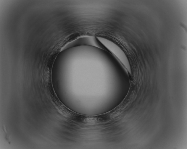 X0000091520413200709071021