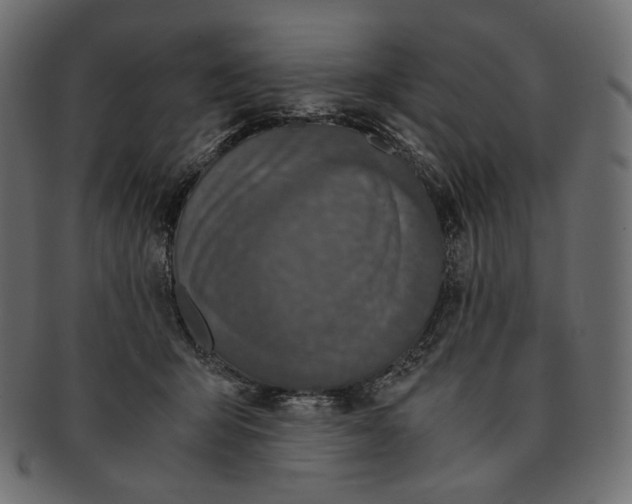 X0000091520415200709071021